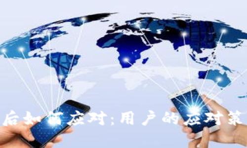 Tokenim退出后如何应对：用户的应对策略与未来展望