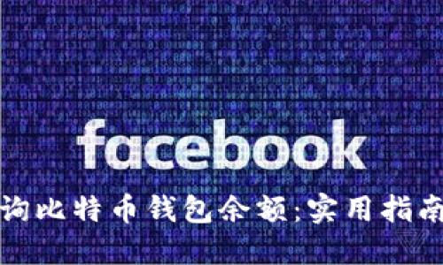 如何查询比特币钱包余额：实用指南与技巧