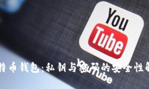 比特币钱包：私钥与密码的安全性解析