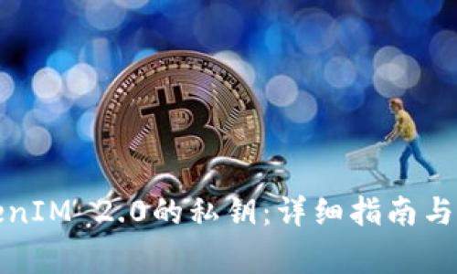 如何查看TokenIM 2.0的私钥：详细指南与安全注意事项