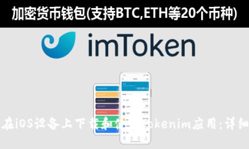 如何在iOS设备上下载和使用Tokenim应用：详细指南