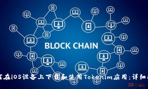 如何在iOS设备上下载和使用Tokenim应用：详细指南