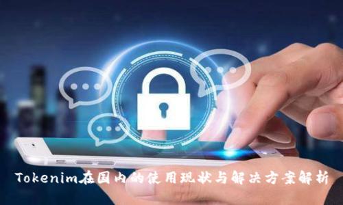 Tokenim在国内的使用现状与解决方案解析