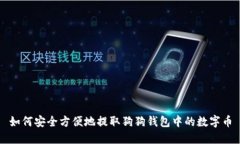 如何安全方便地提取狗狗