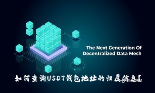 如何查询USDT钱包地址的归属信息？