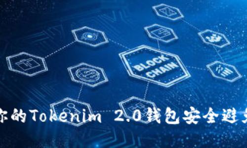 如何保护你的Tokenim 2.0钱包安全避免无故被盗