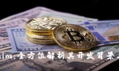 Tokenim：全方位解析其开发
