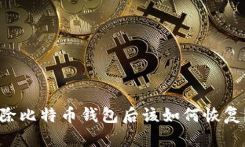 不小心删除比特币钱包后该如何恢复？详尽指南