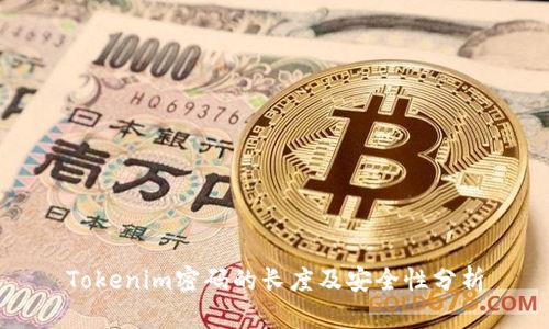 Tokenim密码的长度及安全性分析