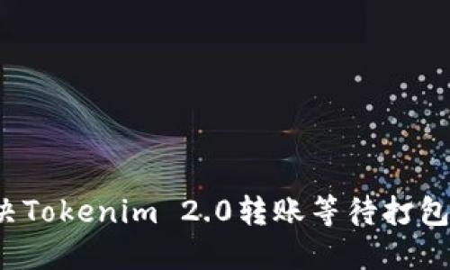 如何解决Tokenim 2.0转账等待打包的问题？