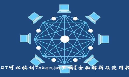 USDT可以放到Tokenim里吗？全面解析及使用指南