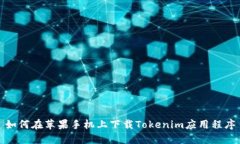 如何在苹果手机上下载T