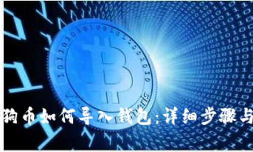 电脑版狗狗币如何导入钱包：详细步骤与注意事项