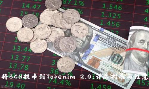 如何将BCH提币到Tokenim 2.0：详尽指南与注意事项