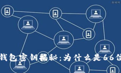 以太坊钱包密钥揭秘：为什么是66位的秘密