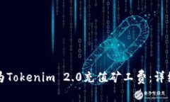 如何为Tokenim 2.0充值矿工费