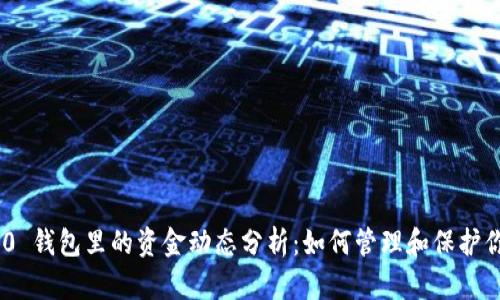 Tokenim 2.0 钱包里的资金动态分析：如何管理和保护你的数字资产