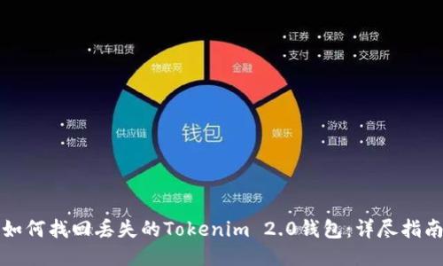 如何找回丢失的Tokenim 2.0钱包：详尽指南