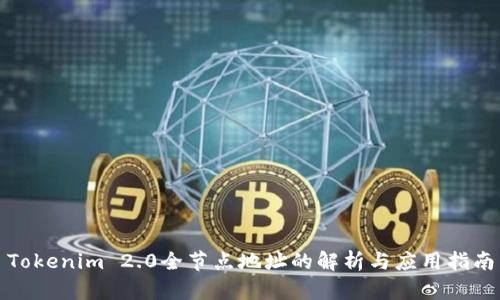 Tokenim 2.0全节点地址的解析与应用指南
