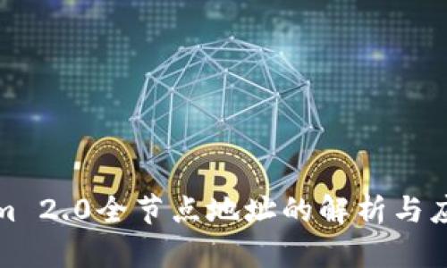 Tokenim 2.0全节点地址的解析与应用指南