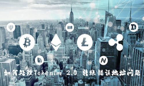 如何处理Tokenim 2.0 转账错误地址问题