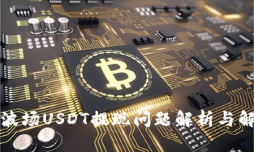 TP钱包波场USDT提现问题解析与解决方案