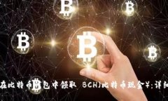 如何在比特币钱包中领取