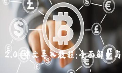 Tokenim 2.0 中文导入教程：全面解析与实战应用