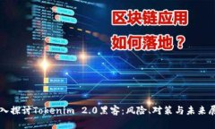 深入探讨Tokenim 2.0黑客：风