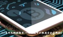 Sol币钱包地址解析：一个