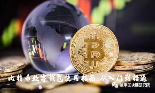 比特币数字钱包使用指南：从入门到精通