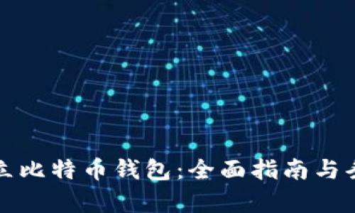 如何建立比特币钱包：全面指南与条件分析