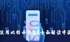 为什么中国不能使用比特