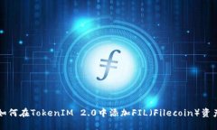 如何在TokenIM 2.0中添加FI