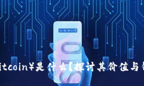 屎币（Shitcoin）是什么？探讨其价值与钱包安全