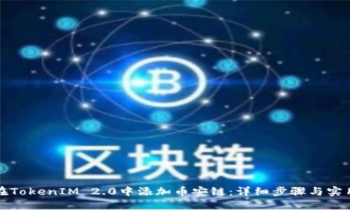 如何在TokenIM 2.0中添加币安链：详细步骤与实用技巧