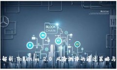 深入解析：Tokenim 2.0 风险