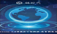 如何在Tokenim 2.0中添加公链