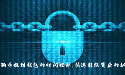 狗狗币提到钱包的时间揭秘：快速转账背后的秘密
