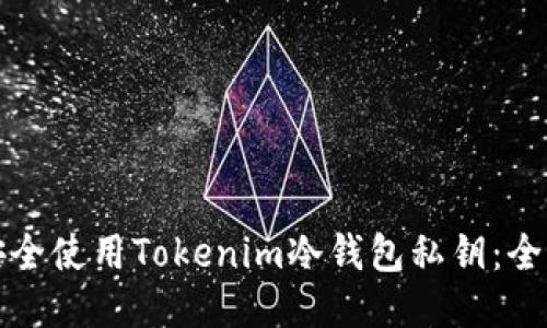 如何安全使用Tokenim冷钱包私钥：全面指南