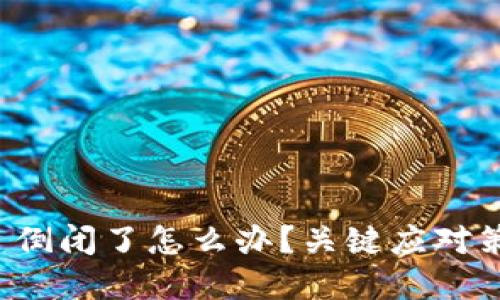 TokenIM 2.0 倒闭了怎么办？关键应对策略与未来展望