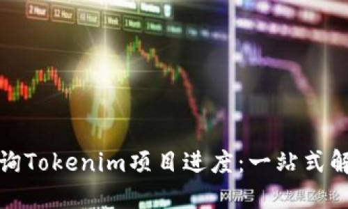 如何查询Tokenim项目进度：一站式解决方案
