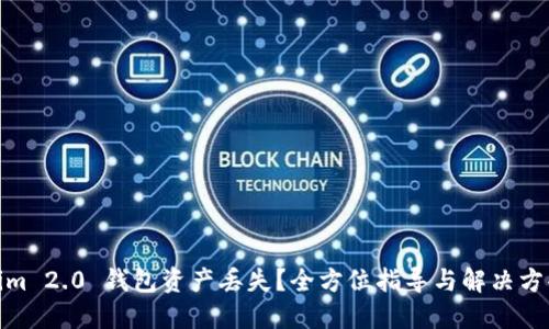 Tokenim 2.0 钱包资产丢失？全方位指导与解决方案揭秘