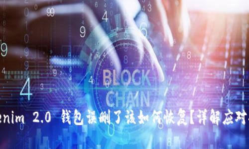 Tokenim 2.0 钱包误删了该如何恢复？详解应对措施