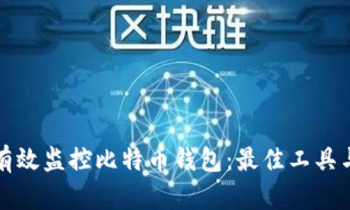 如何有效监控比特币钱包：最佳工具与技巧