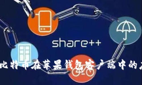 全面分析：比特币在苹果钱包客户端中的应用与优势
