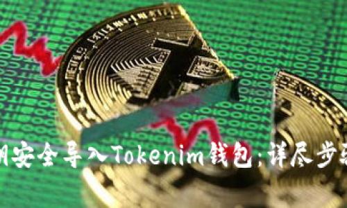 如何通过私钥安全导入Tokenim钱包：详尽步骤与注意事项