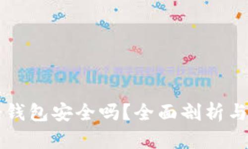 比特币轻钱包安全吗？全面剖析与使用指南