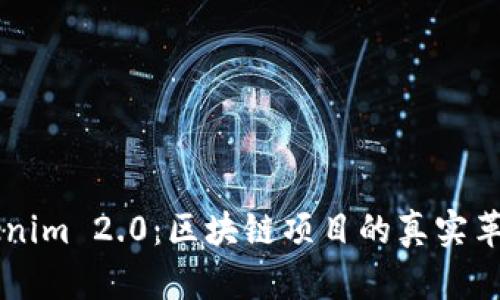 深入解析Tokenim 2.0：区块链项目的真实革命与未来潜力