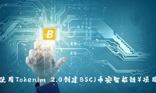 如何使用Tokenim 2.0创建BSC（币安智能链）项目详解